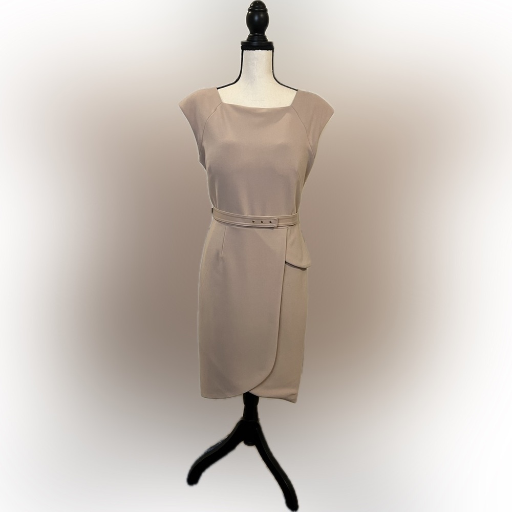 Pink Sheath Dress- Scandal Limited Edition